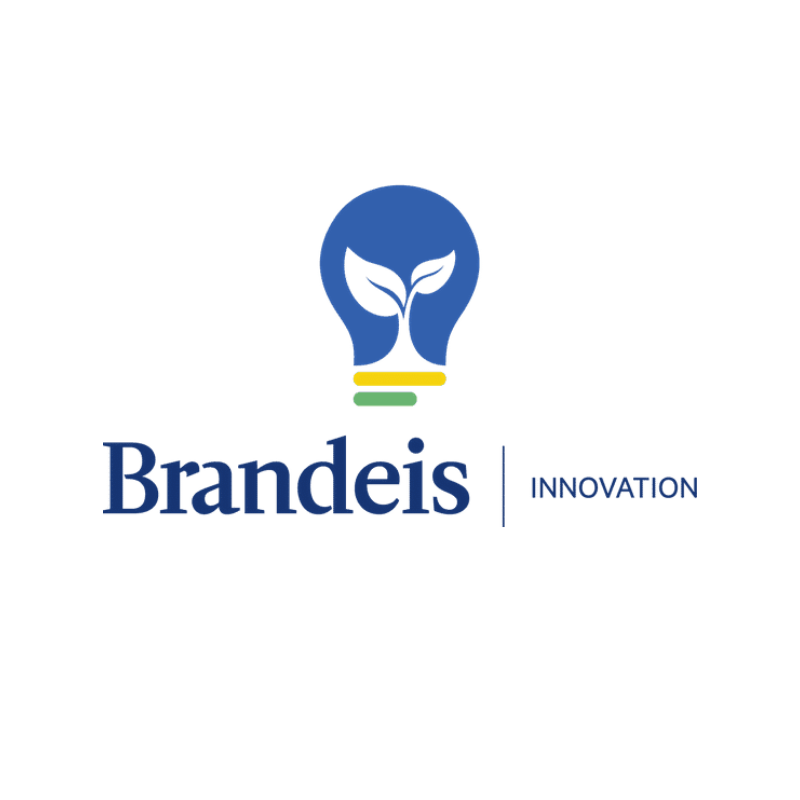 Logo of Brandeis Innovation, featuring the text "Brandeis Innovation" with a stylized design.