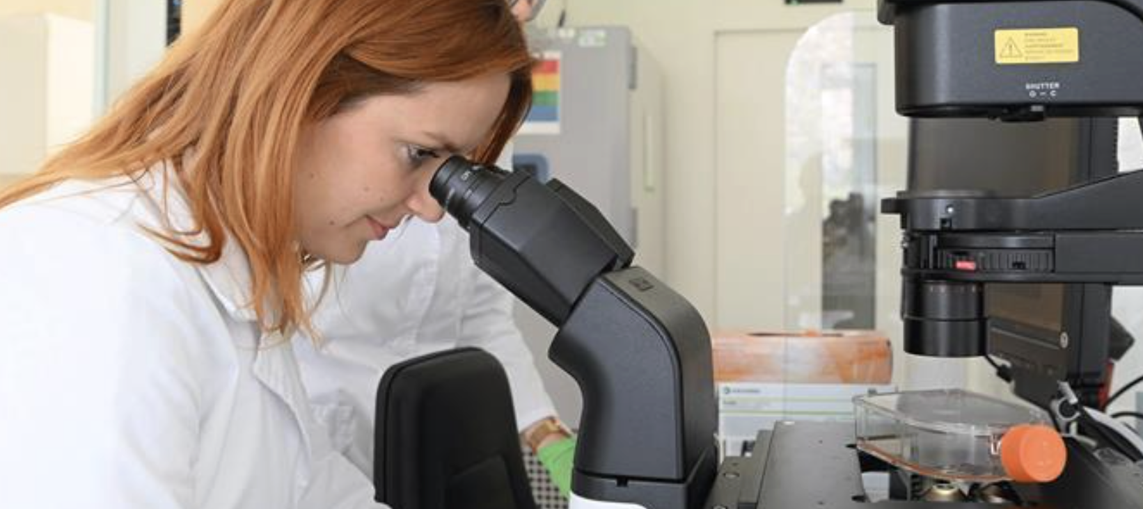 Venture Cafe March 2026